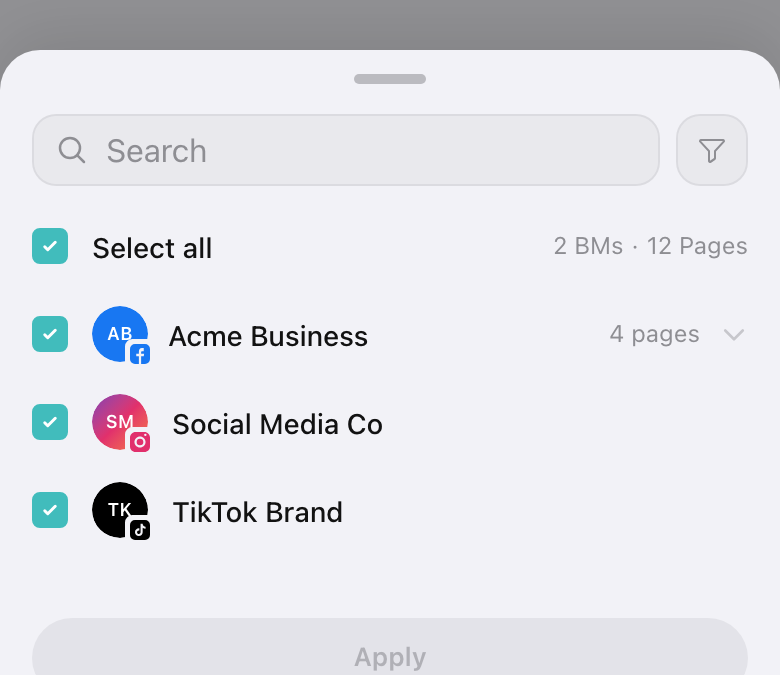 Mobile filter sheet for selecting Business Managers and Pages